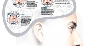 Prevención Alzheimer desde la Juventud Prevención Alzheimer desde la Juventud