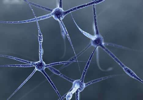 Neurons Diagnosticar Precózmente Alzheimer