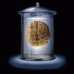 cerebro-_-