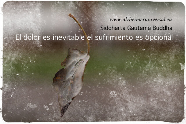 "Hoja cayendo" por Martin Iraburu Fotomontaje: Alzheimer Universal