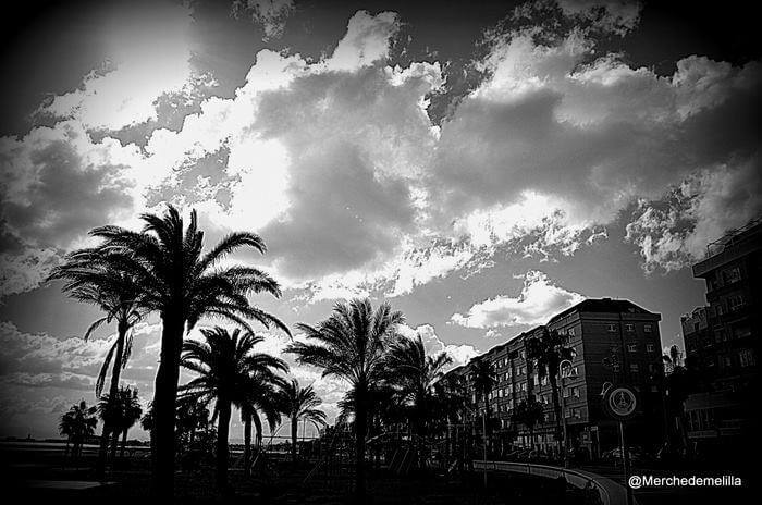 Alzheimer Poema Adelaida Fotos Merche Melilla