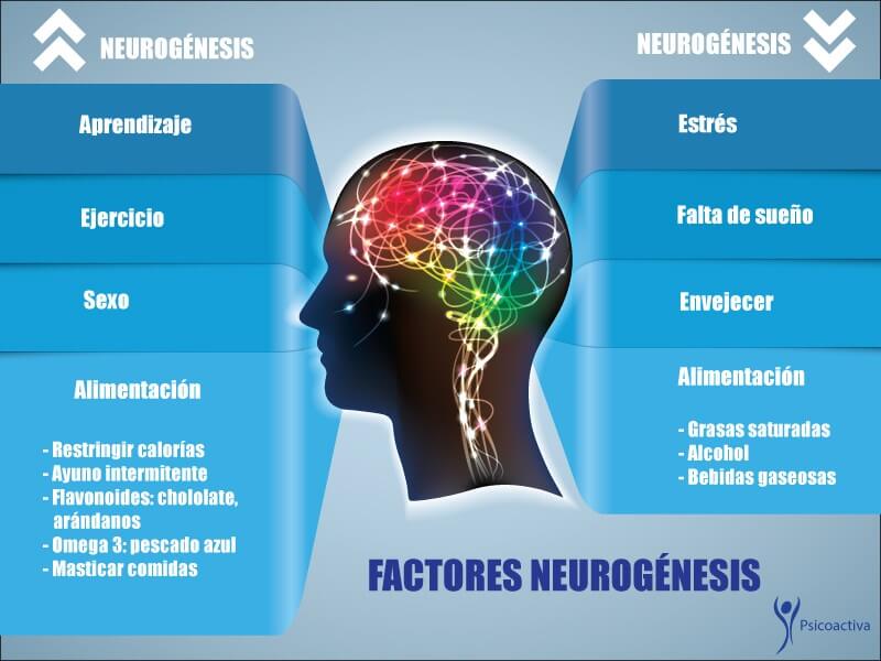 Imagen: www.psicoactiva.com