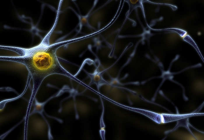 PRJ212 se llama la nueva combinación nutricional que BIOibérica (compañía biotecnológica) y la Fundación ACE (Institut Catalá de Neurociéncies Aplicades) empezaron una investigación aleatoria para poder determinar la efectividad del compuesto y su capacidad de parar la disminución de la memoria de pacientes en fases iniciales del Alzheimer. PRJ212 se llama la nueva combinación nutricional que BIOibérica (compañía biotecnológica) y la Fundación ACE (Institut Catalá de Neurociéncies Aplicades) empezaron una investigación aleatoria para poder determinar la efectividad del compuesto y su capacidad de parar la disminución de la memoria de pacientes en fases iniciales del Alzheimer.