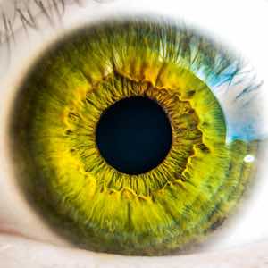La exploración ocular puede detectar signos tempranos de Alzheimer La exploración ocular puede detectar signos tempranos de Alzheimer